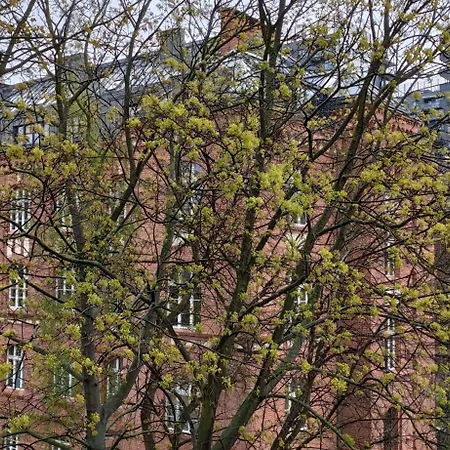 Blisko I Spokojnie / Close And Quiet