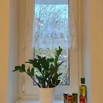 Blisko I Spokojnie / Close And Quiet Gdańsk